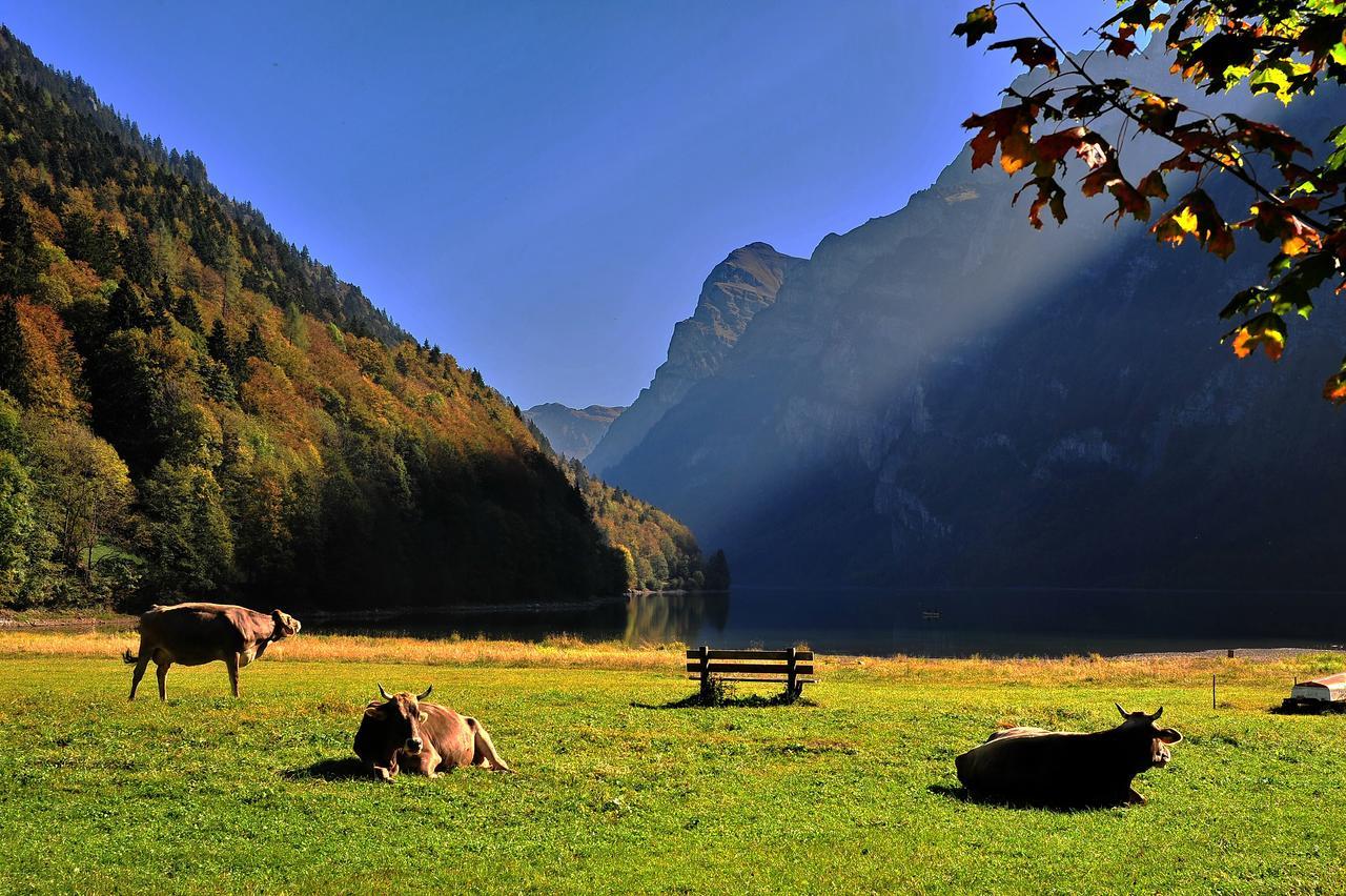 Hotel Freihof Glarus Dış mekan fotoğraf